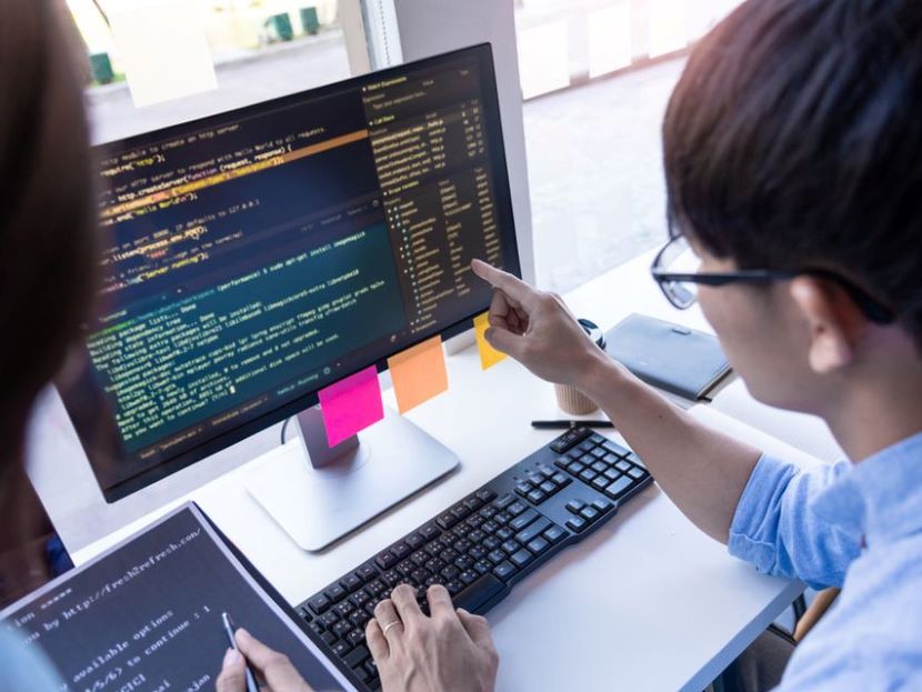 Software Developer