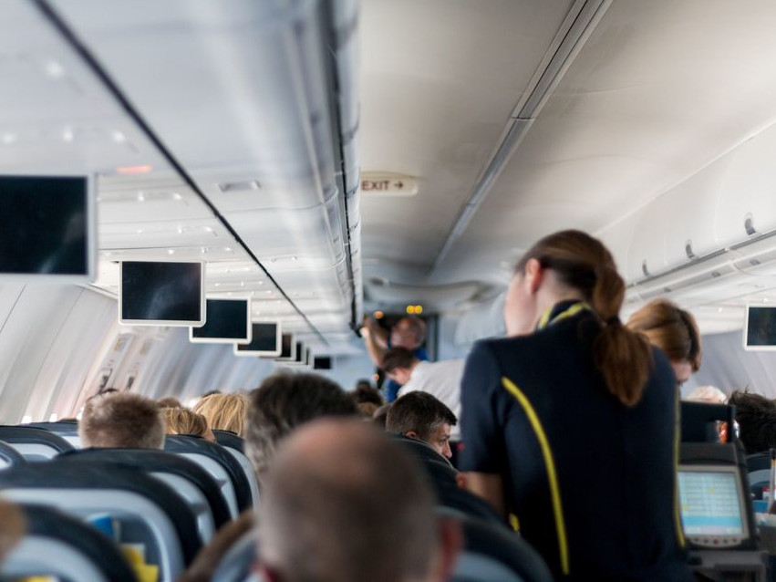Stewardess